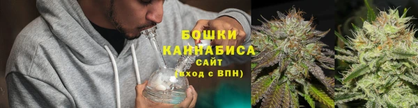 эйфоретик Няндома