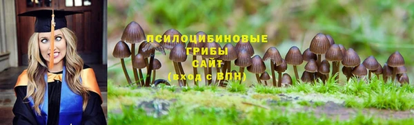 дживик Алзамай