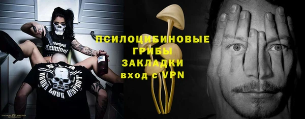 дживик Алзамай