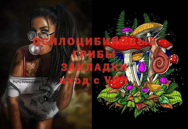 марки lsd Нязепетровск