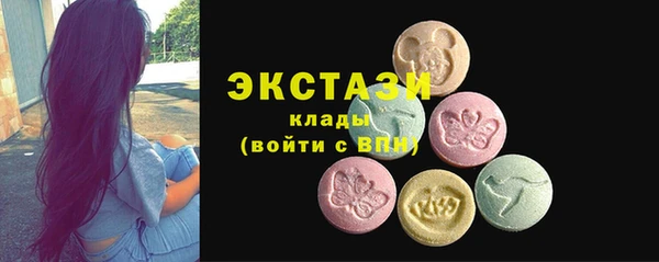 СК Алексин