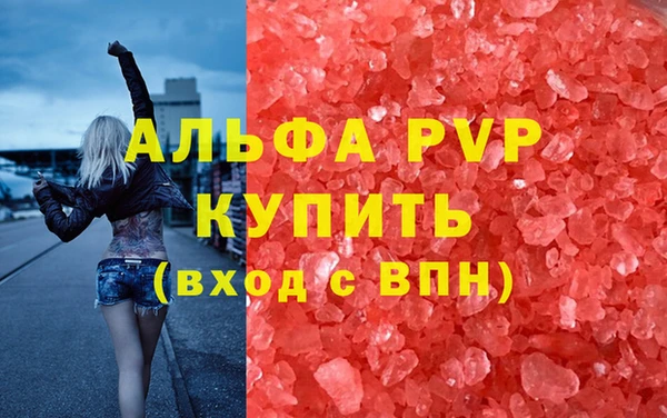 СК Алексин