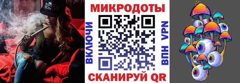 kraken ТОР  Волоколамск  Псилоцибиновые грибы Psilocybe 