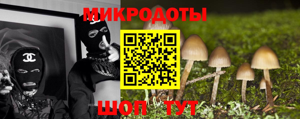 Псилоцибиновые грибы Cubensis Волоколамск