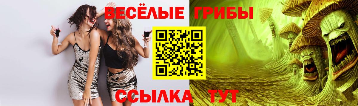 Галлюциногенные грибы ЛСД  цены наркотик  Волоколамск  Вход с VPN 